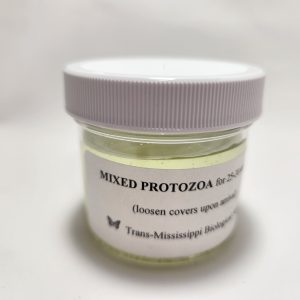 Mixed Protozoa