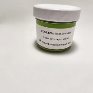 Euglena