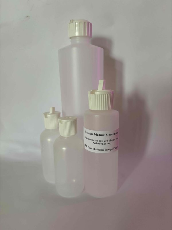 Protozoa Medium
