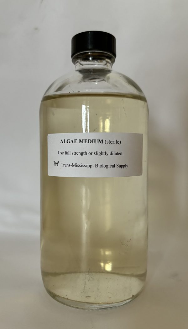Algae Medium