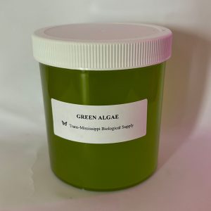 Green Algae