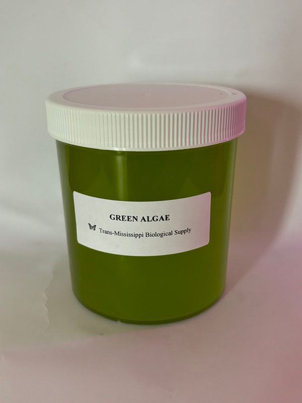 Green Algae