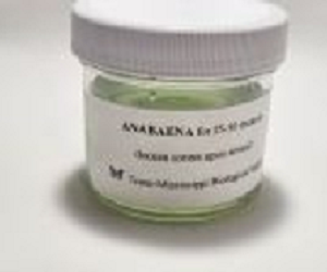 Anabaena