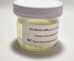 Gloecapsa