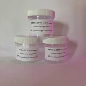Microworlds Set
