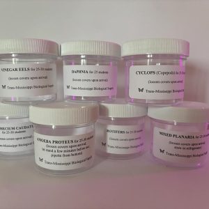 Invertebrate Set