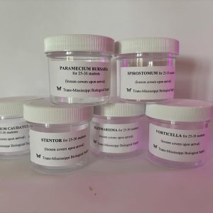 Ciliate Set with six protozoan cultures in labeled jars from TMBS