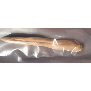 Leech (Preserved), 2-3"