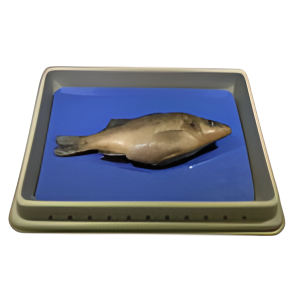 Perch (5-7")