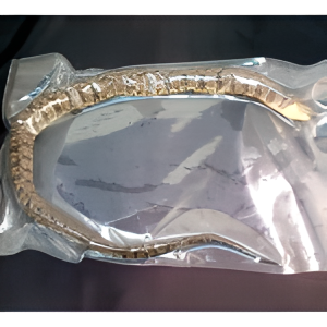 Snake (Preserved), 18+"