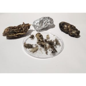 Assorted owl pellets for dissection and science class activities