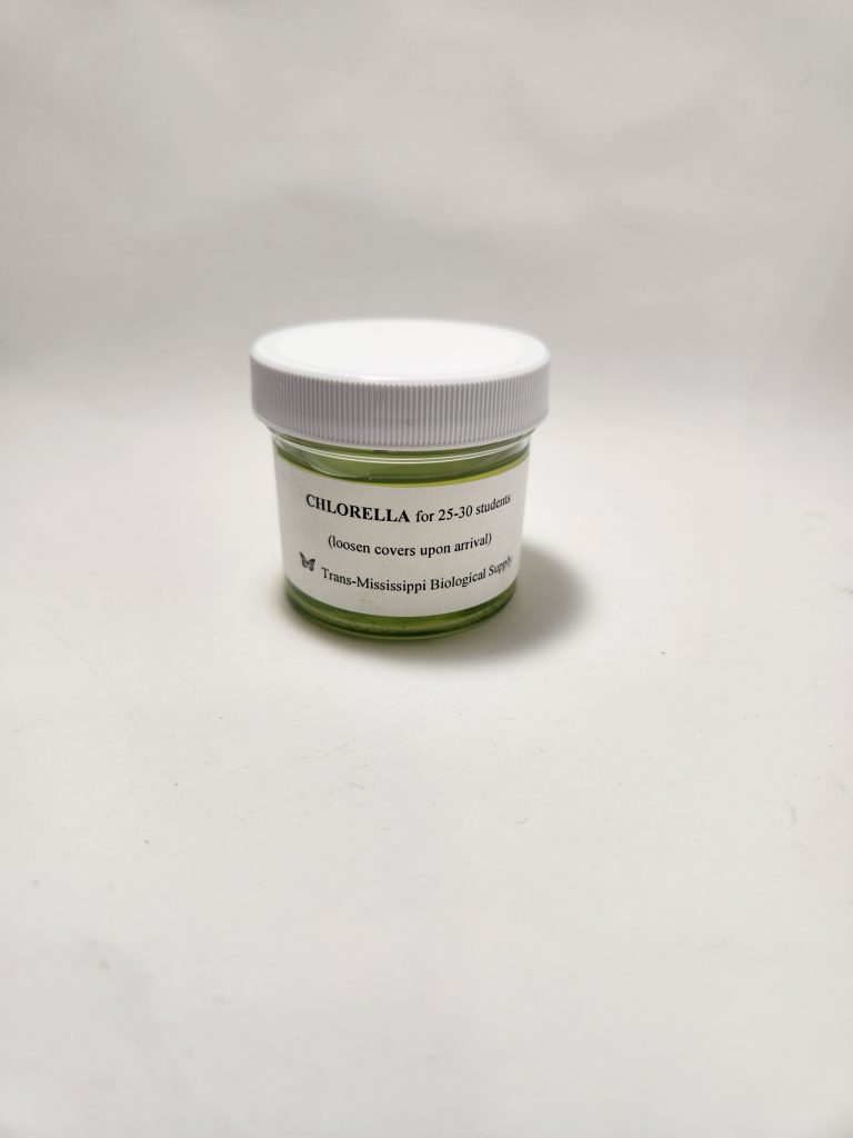 Chlorella | Trans Mississippi Biological Supply | Isanti, MN