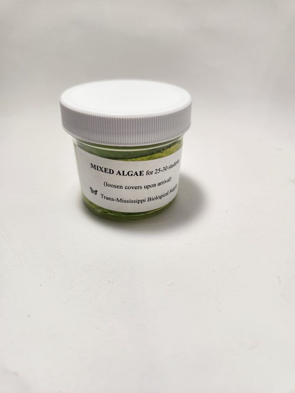 Mixed Algae