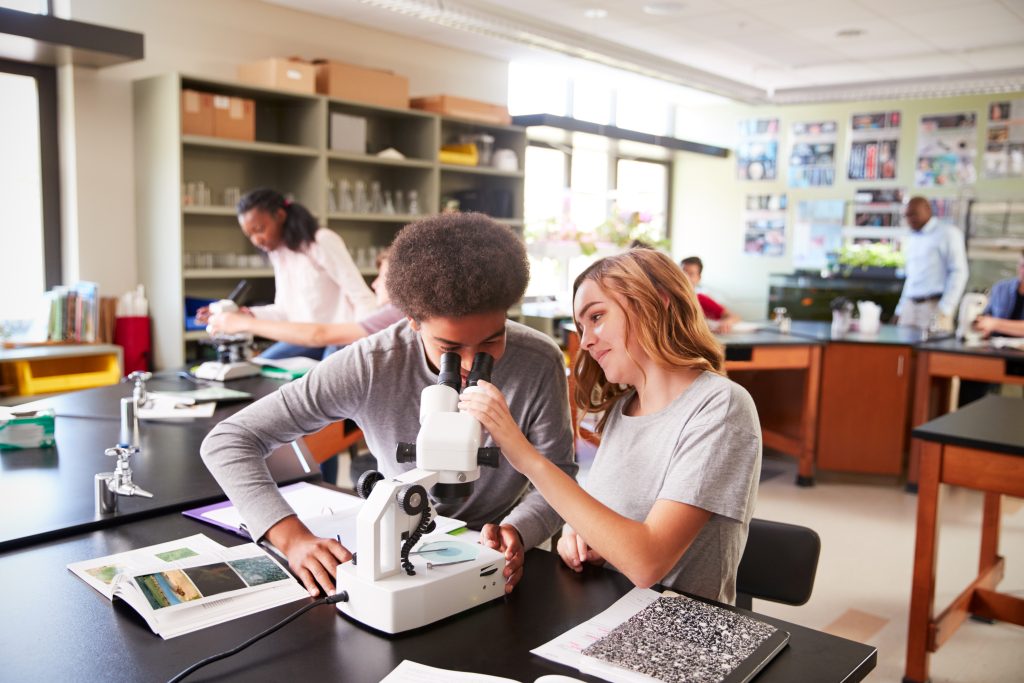 Dissection Day Without the Drama: How TMBS Makes It Easy for Teachers ...