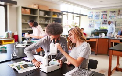 Dissection Day Without the Drama: How TMBS Makes It Easy for Teachers and Students
