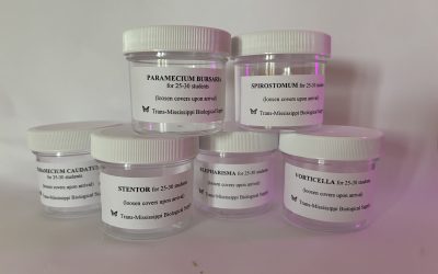 Tired of Scrambling for Science Supplies? Here’s How Custom Lab Kits Save the Day